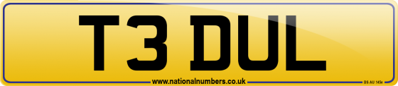 T3 DUL