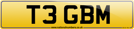 T3 GBM