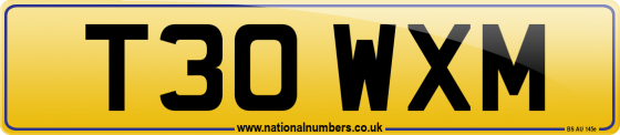 T30 WXM