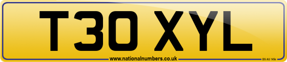 T30 XYL