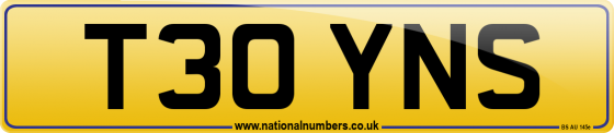 T30 YNS