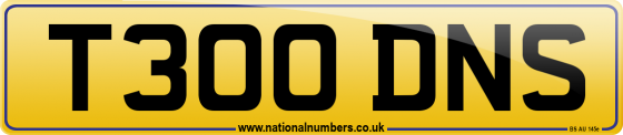T300 DNS
