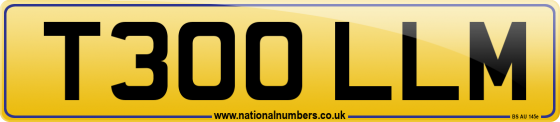T300 LLM