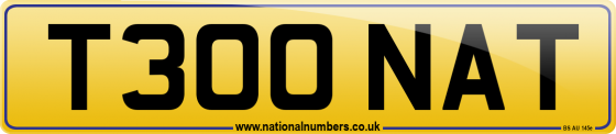 T300 NAT