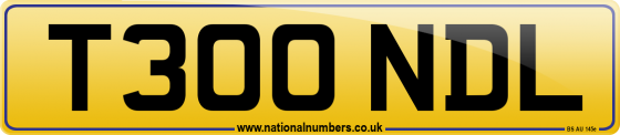 T300 NDL