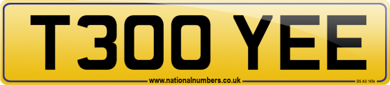T300 YEE