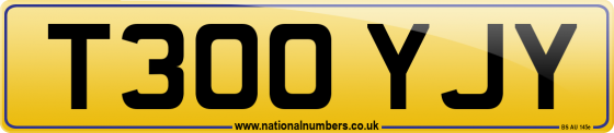 T300 YJY