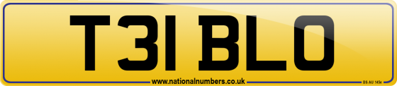 T31 BLO