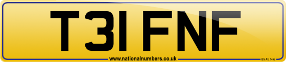 T31 FNF