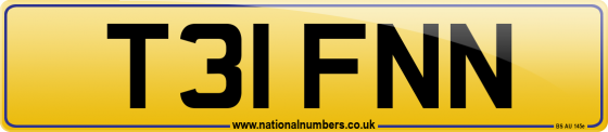 T31 FNN