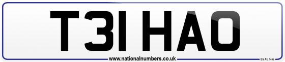 T31 HAO