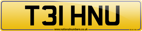 T31 HNU
