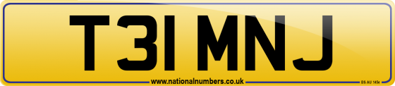 T31 MNJ