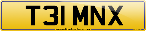 T31 MNX