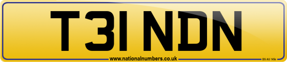 T31 NDN