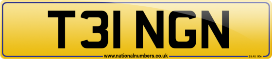 T31 NGN