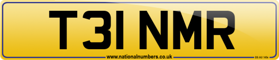 T31 NMR
