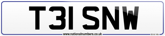 T31 SNW