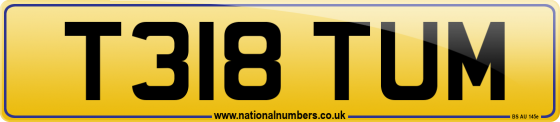 T318 TUM