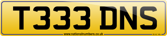 T333 DNS