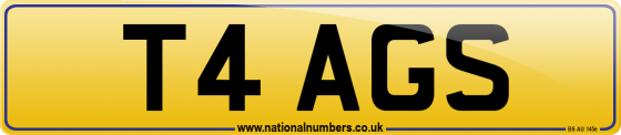 T4 AGS