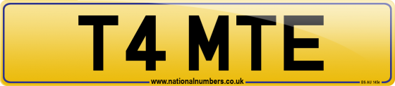 T4 MTE