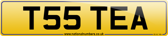 T55 TEA