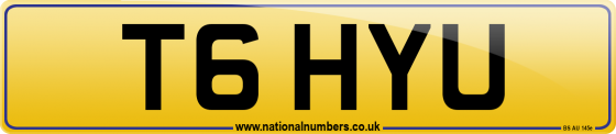 T6 HYU