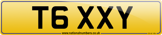 T6 XXY
