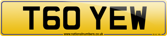 T60 YEW
