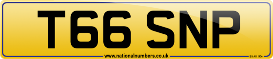 T66 SNP