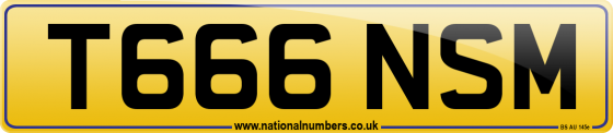 T666 NSM