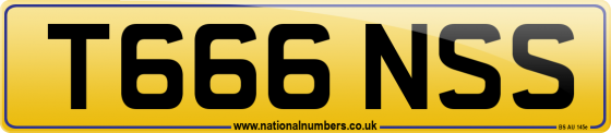 T666 NSS