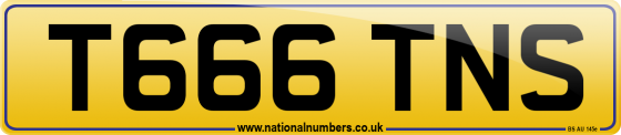 T666 TNS