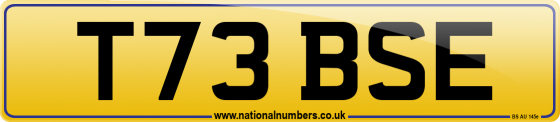 T73 BSE