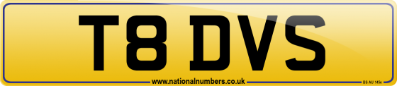 T8 DVS