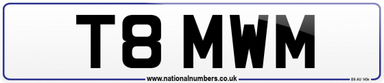 T8 MWM