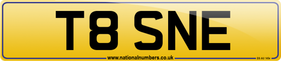 T8 SNE