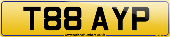 T88 AYP