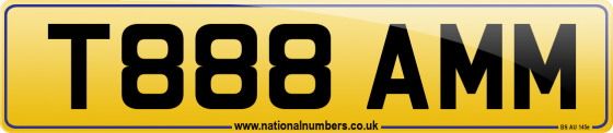 T888 AMM