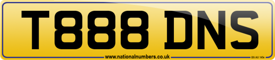 T888 DNS