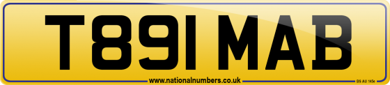 T891 MAB