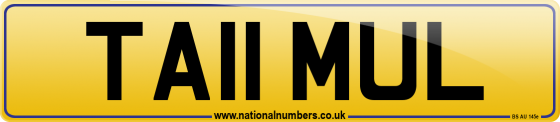 TA11 MUL