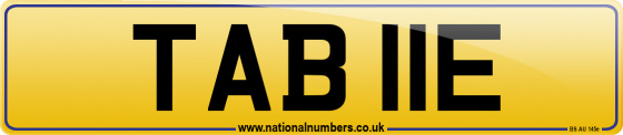 TAB 11E
