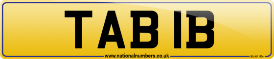 TAB 1B