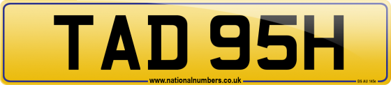 TAD 95H