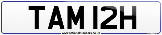 TAM 12H