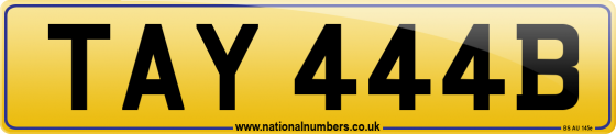 TAY 444B