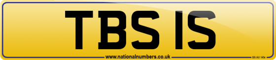 TBS 1S