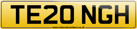 TE20 NGH